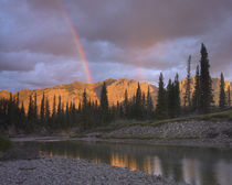 Rainbow over Fairholme Range and Exshaw Creek, Alberta, Canada by Danita Delimont