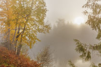 Slocan River Autumn von Danita Delimont