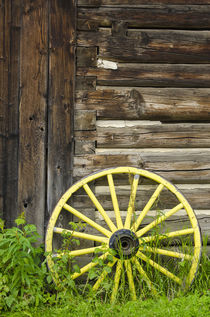 Old wagon wheel in historic old gold town Barkersville, Brit... von Danita Delimont