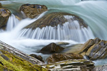 Blanket Creek, Blanket Creek Provincial Park, Sutherland Fal... von Danita Delimont