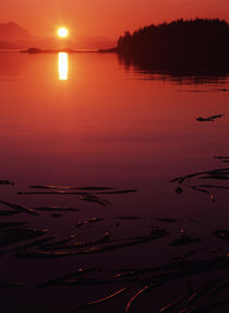 Canada, British Columbia, Vancouver Island, View of beach at sunset von Danita Delimont