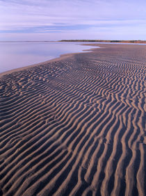 Ripples in the sand, Kouchibouguac National Park, New Brunsw... by Danita Delimont