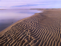Rippled sand, Kouchibouguac National Park, New Brunswick, Canada by Danita Delimont