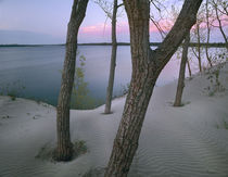 Lake Ontario, Sandbanks Provincial Park, Ontario von Danita Delimont
