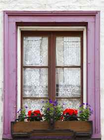 Canada, Quebec, Quebec City, Old Town window with flowers. by Danita Delimont