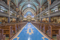 Notre Dame Basilica by Danita Delimont