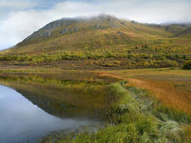 Ogilvie Mountains and tundra tarn in autumn, Yukon Territory, Canada. by Danita Delimont