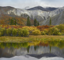 Wernecke Mountains in autumn, Yukon Territory, Canada. von Danita Delimont