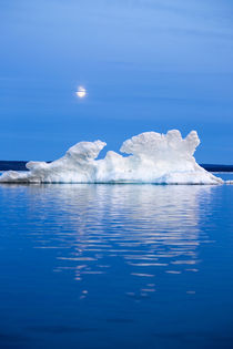 Melting Sea Ice, Repulse Bay, Nunavut Territory, Canada by Danita Delimont