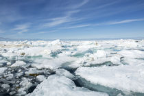 Melting Sea Ice, Repulse Bay, Nunavut Territory, Canada von Danita Delimont