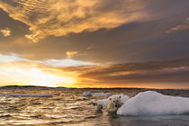 Polar Bear and Cub amid Sea Ice, Repulse Bay, Nunavut, Canada von Danita Delimont