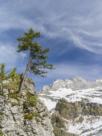 Eng Valley, Karwendel mountain range, Austria von Danita Delimont
