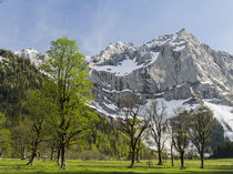 Eng Valley, Karwendel mountain range, Austria von Danita Delimont