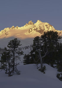 Reichenspitz mountain range during winter, Austria by Danita Delimont