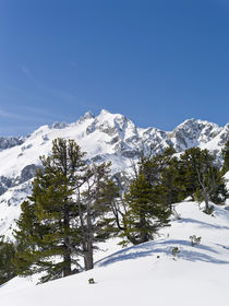 Reichenspitz mountain range during winter, Austria by Danita Delimont
