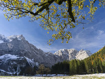 Eng Valley during fall, Karwendel mountain range, Austria by Danita Delimont