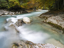 Creek Rissbach, Karwendel, Austria by Danita Delimont