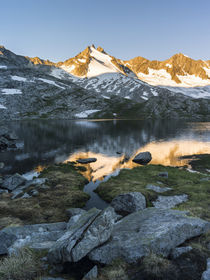 Reichenspitz mountain range, NP Hohe Tauern,Austria by Danita Delimont