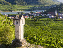Village of Spitz, Wachau, Austria by Danita Delimont