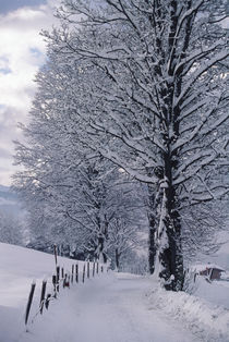 Austria, Tirol, Kitzbuhel, Austria's premier ski town in winter. by Danita Delimont
