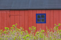 Denmark, Jutland, Gamle Skagen, Old Skagen, red house detail by Danita Delimont