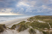 Denmark, Jutland, Danish Riviera, Hvide Sande, coastal dunes, dusk von Danita Delimont