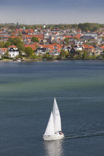 Denmark, Funen, Svendborg, elevated town view with sailboat by Danita Delimont