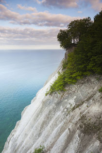 Denmark, Mon, Mons Klimt, 130 meter-highchalk cliffs from above von Danita Delimont