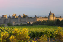 Dawn overlooking the medieval village of Carcassonne, Langue... by Danita Delimont