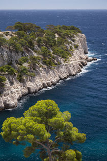Rocky point in the Calanques near Cassis, Bouches-du-Rhone, ... by Danita Delimont