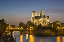 Cathedral Notre Dame along the banks of River Seine, Paris, France by Danita Delimont