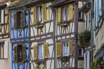 House, Colmar, Alsace, France by Danita Delimont