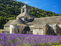 Seananque Abbey with Lavender in full bloom by Danita Delimont