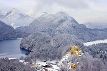 Hohenschwangau Castle in the Bavarian Mountains of Germany by Danita Delimont