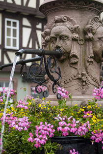 Europe, Germany, Miltenberg, fountain detail by Danita Delimont