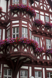 Europe, Germany, Miltenberg, half-timbered buildings von Danita Delimont