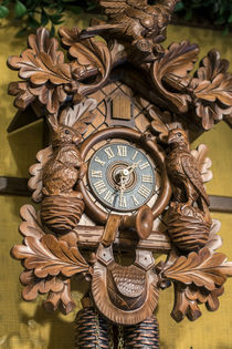 Cuckoo clock, Rothenburg, Germany von Danita Delimont