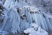 The frozen Schleierfaelle in Bavaria, Germany by Danita Delimont