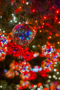 Germany, Berlin, Potsdamer Platz, Christmas Tree detail, evening by Danita Delimont