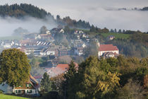 Germany, Baden-Wurttemburg, Black Forest, Horben, town view ... by Danita Delimont