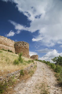 Greece, East Macedonia and Thrace, Didymotiho, The Kale Fortress by Danita Delimont