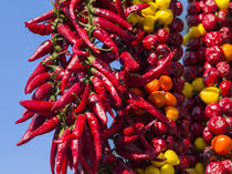 Chili in Kalocsa, Hungary von Danita Delimont