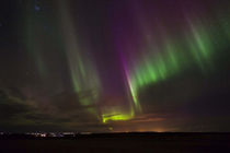 Northern Lights over the south of Iceland von Danita Delimont