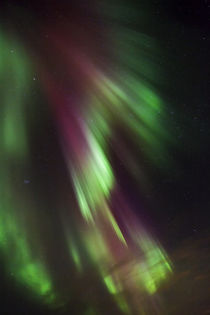 Northern Lights over the south of Iceland by Danita Delimont