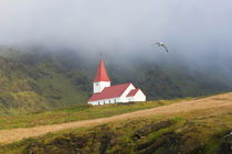Church, Vik, Iceland by Danita Delimont