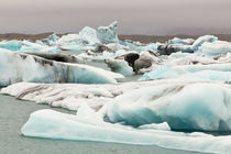 Iceberg formations broken off from the Breidamerkurjokull gl... by Danita Delimont