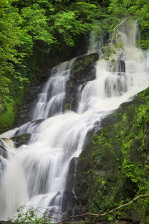 Torc Waterfalls, Killarney National Park, County Kerry, Repu... von Danita Delimont