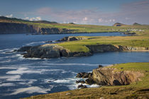 Evening sunlight over Ballyferriter Bay, Sybil Point and the... by Danita Delimont