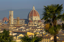 Early morning over the Duomo, Florence, Tuscany, Italy by Danita Delimont