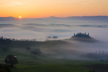 Belvedere and countryside at dawn, San Quirico d'Orcia, Tuscany, Italy by Danita Delimont